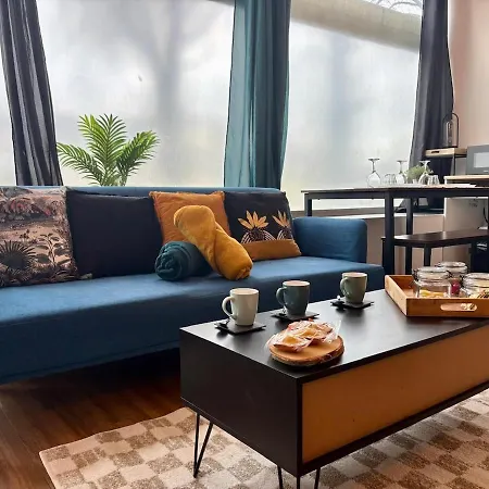 Duplex Lumineux Centre-ville