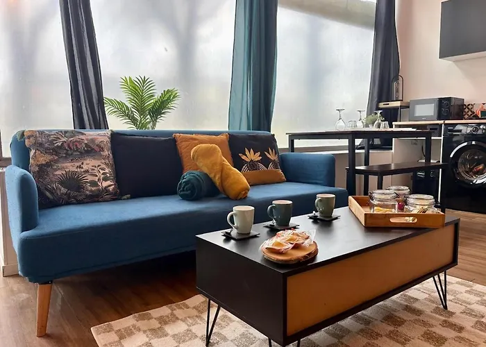 Duplex Lumineux Centre-ville